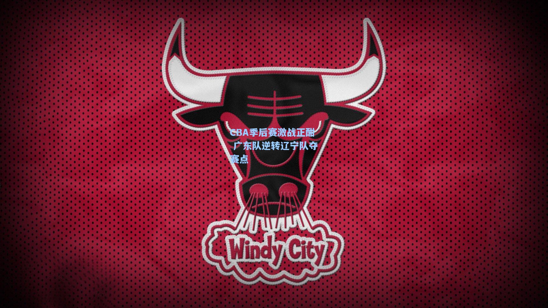 CBA季后赛激战正酣 广东队逆转辽宁队夺赛点