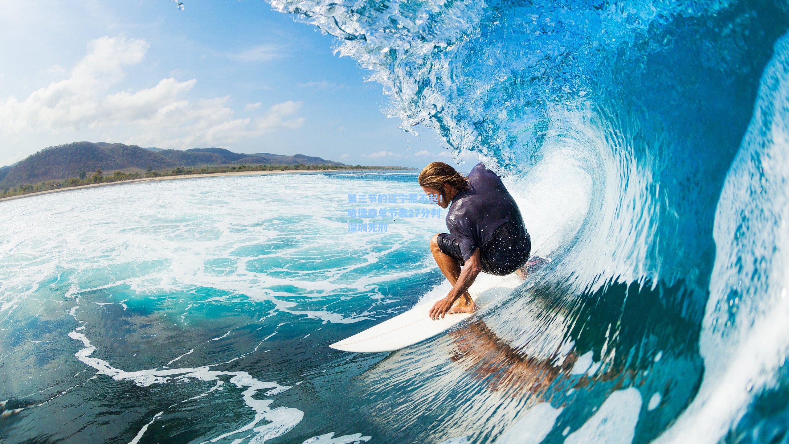 第三节的辽宁惹不起！哈德森单节轰27分判深圳死刑